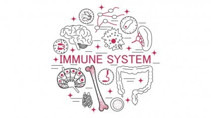 9 dingen die uw immuunsysteem verzwakken